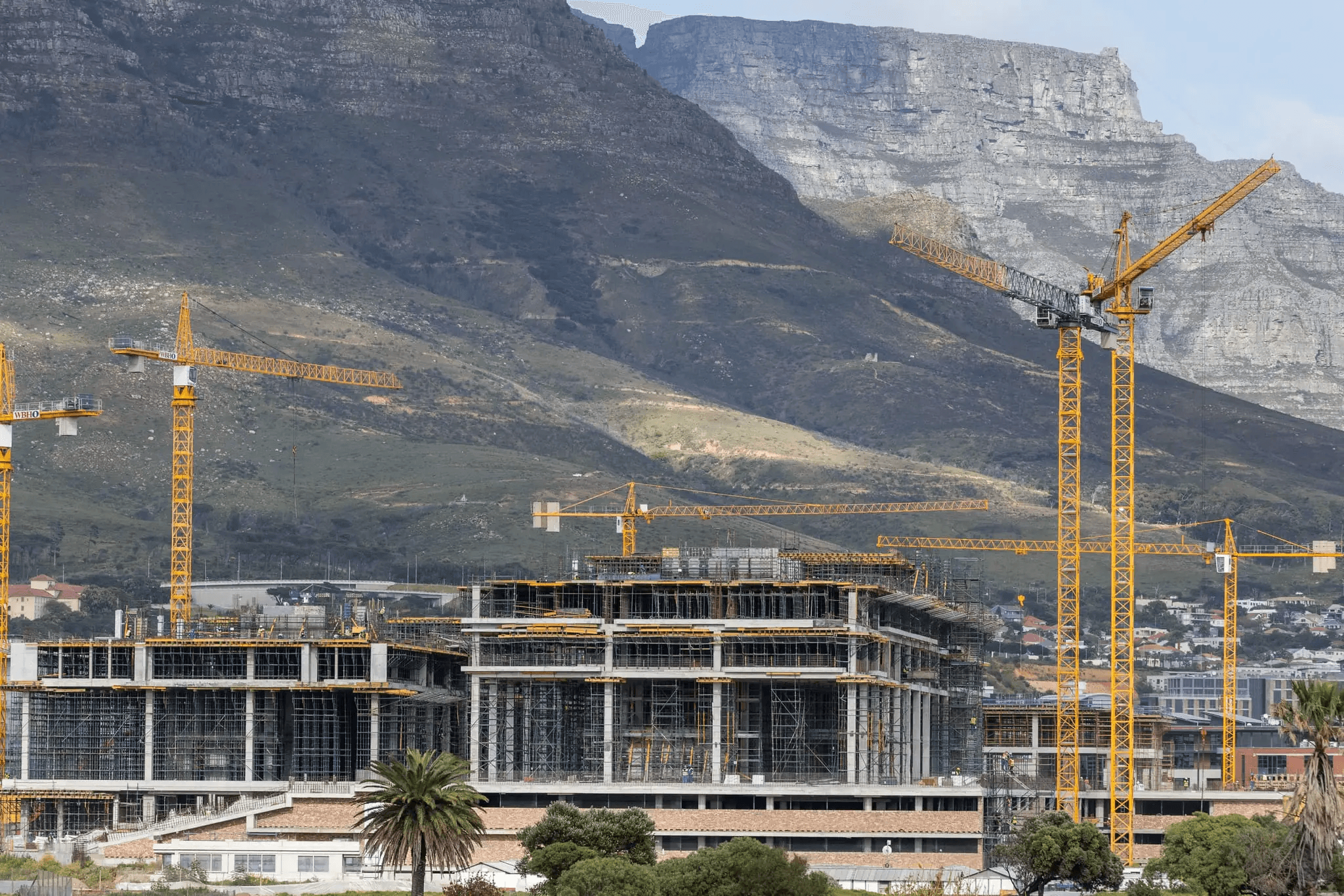 Construction & Civils